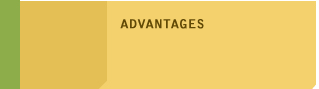 advantages